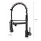 Single Handle Pull Down Sprayer Kitchen Faucet in Brushed Nickel